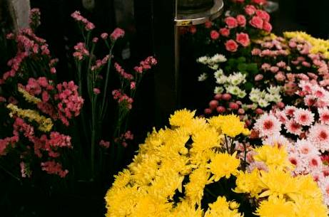Inspiration florale